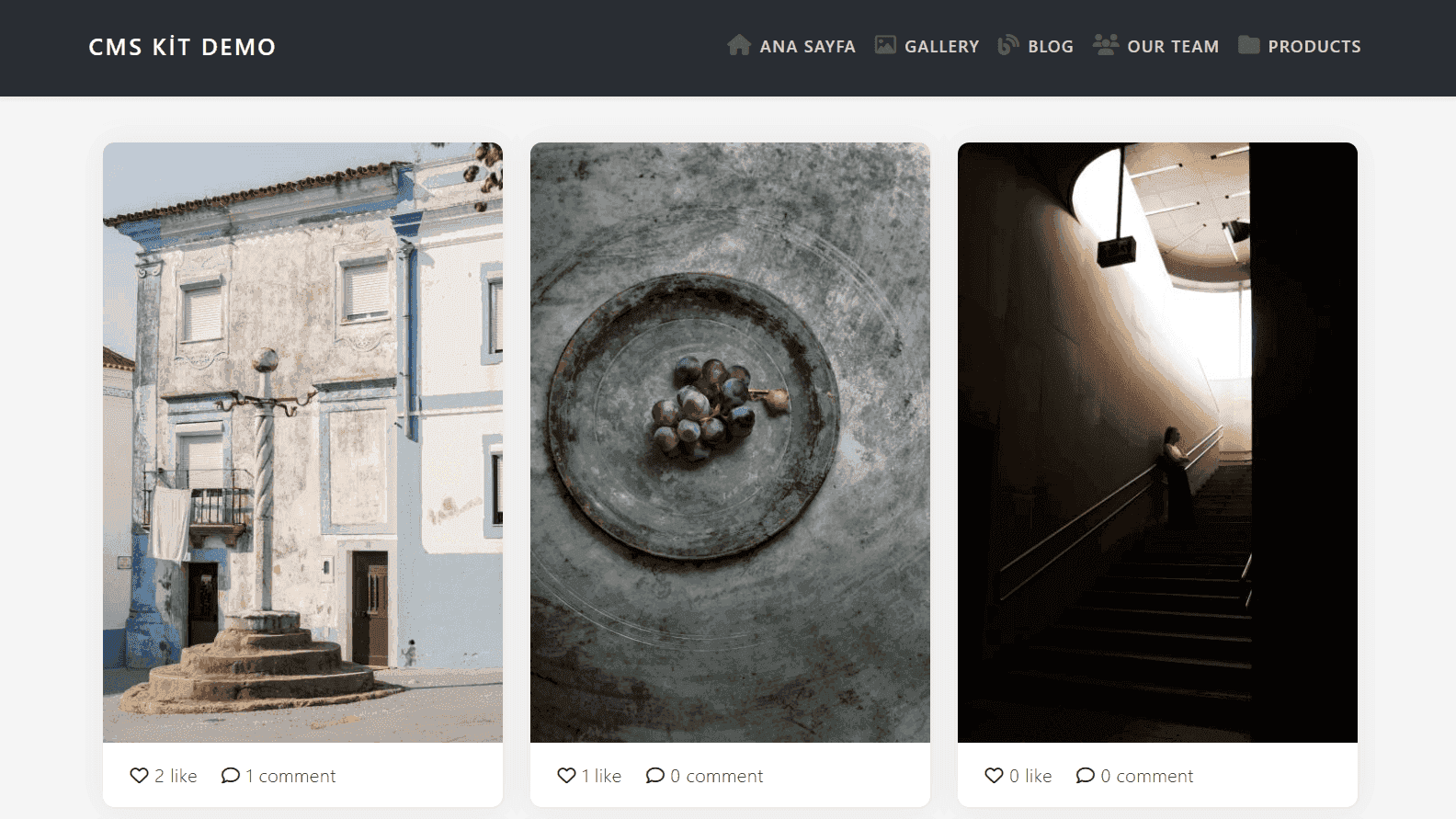 CMS Kit Demo screenshot 2